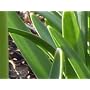 Panasonic LUMIX DMC-ZX1 EG-K Digitalkamera (12 Meg&hellip von Panasonic