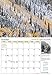 Colorado 2015 Scenic Wall Calendar