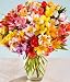 100 Blooms of Peruvian Lilies