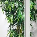 Einbruchschutzfolie FX-Clear-12mil-Indoor (182 cm * 20 m)