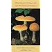 Mushrooms of Cape Cod and the National Seashore