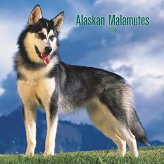 Alaskan Malamutes 2008 Square Wall Calendar (German, French and Spanish Edition)