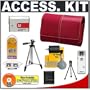 Sony CyberShot LCS-TWF Red Leather Carrying Case + NP-BG1 Battery + Accessory Kit for DSC-W120, DSC-W130, DSC-W200, DSC-W220, DSC-W230, DSC-W290, DSC-W300 Digital Cameras
