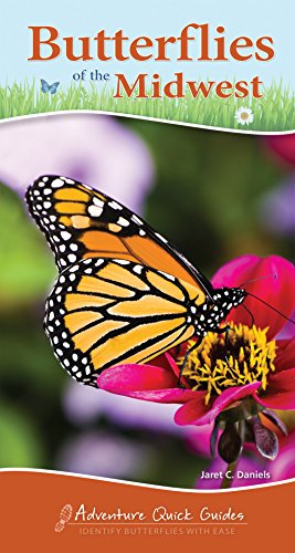 Butterflies of the Midwest (Adventure Quick Guides)