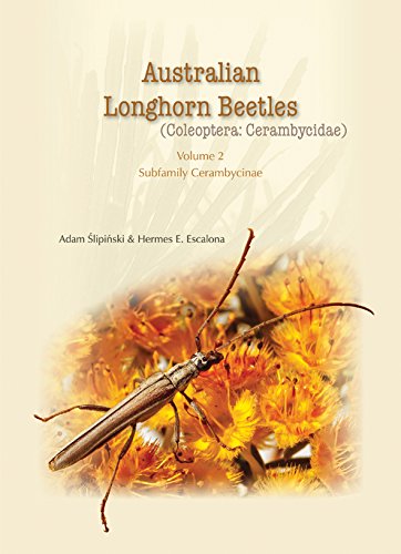 Australian Longhorn Beetles: Coleoptera: Cerambycidae