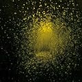 Burst Apart [Vinyl LP]