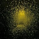 Burst Apart [VINYL]