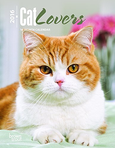Cat Lovers 2016 Engagement