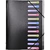 Exacompta 55981E Trieur Polypro 12 Compartiments avec Chemise 3 Rabats en Fin de Trieur Fermeture par Elastiques Noir
