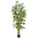 Real Looking 6' Belly Bamboo Silk Tree Green Colors - Silk Tree