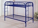 Twin/Twin Bunk Bed in Blue Finish by Acme Furniture