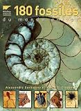180 Fossiles du monde entier