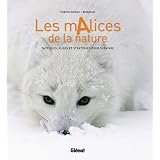 Détails sur le produit