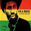Black Cowboy