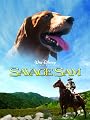 play video on Amazon Instant Video