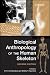 Biological Anthropology of the Human Skeleton