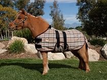 Kensington Mini Plaid Poly Cotton Stable Sheet, Deluxe Black Plaid, 42-46-Inch
