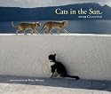 Cats in the Sun 2009 Wall Calendar
