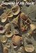 Outdoor Living : National Geographic by New Creative - Shells  Garden Impressions Flag