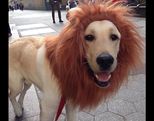 Narrowser Pet Cosplay Costume Lion Mane Wig Hair Clothes Festival Soft fur Hairpiece Party Fancy Dress up Clothes with Ears Red brown, Pet H