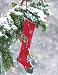 Duncraft Fancy Finch Stocking