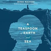 A Teaspoon of Earth and Sea: A Novel | [Dina Nayeri]