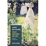 lines of vision irish writers on art