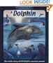 Uncover a Dolphin (Uncover Books)