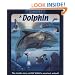 Uncover a Dolphin (Uncover Books)