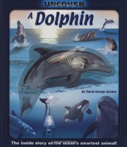 Uncover a Dolphin (Uncover Books)