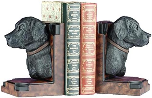 Lab Display Bookends