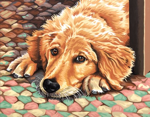 Paint By Number Kit 11x14-Dog Tired