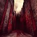 Omnicide