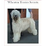 Wheaten Terrier Secrets: How to Raise Happy and Healthy Wheaten Terriers