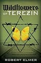 Wildflowers of Terezin