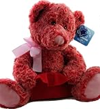 Applause By Russ Two Toned Red Pink Teddy Bear with Gift Card Holder