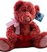 Applause By Russ Two Toned Red Pink Teddy Bear with Gift Card Holder