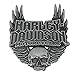 Harley-Davidson Men's Gothic Winged Skull Pin, Antique Silver Finish P108064