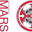 Image of A Beautiful Lie
