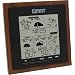 La Crosse Technology Weather Direct WD-3308U-WAL 4 Day Internet Powered Wireless Forecaster