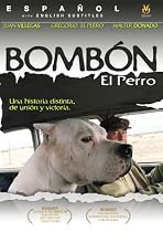 Bombon - El Perro Review.