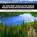 Book The Techie Stuff: Setting Up Your Research Proposal Writing Services Online Storefront