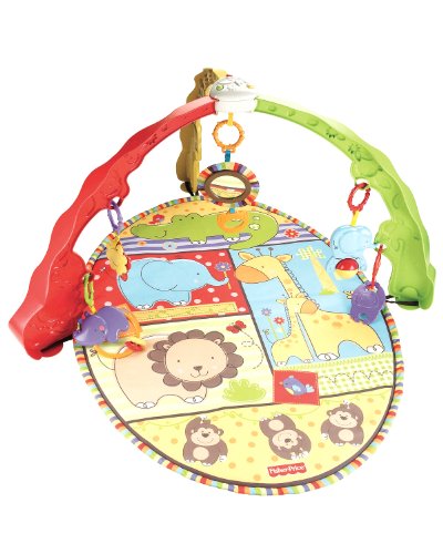 Buy Low Price Cozy Fisher-Price Luv U Zoo Musical Activity Gym V4435