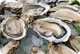 Select Oysters - 8 # Unit - 24 Hour Notice - 8 Lb Unit