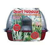 New - Desert Hothouse Case Pack 12 - 715099