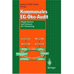 Kommunales EG-�ko-Audit: M�glichkeiten und Grenzen der Umsetzung