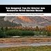 Book Time Management Tips For Exterior Auto Accessories Online Business Success