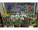 Photographic Prints of USH-2418 Orchids, Hybrid assortment - in living room from Ardea Wildlife Pets