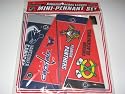 NHL Hockey Team Mini Pennants