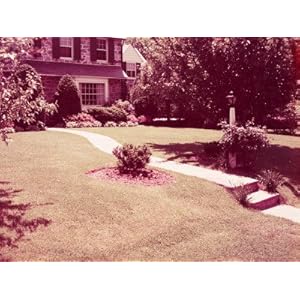 Suburban Home With Front Lawn Photographic Poster Print by H. Armstrong Roberts, 30x40